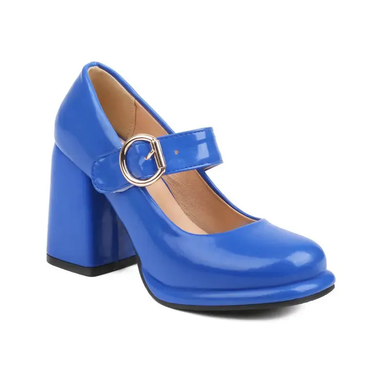 Funki Buys | Shoes | Women's Chunky High Heel Mary Janes