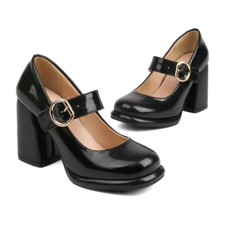 Funki Buys | Shoes | Women's Chunky High Heel Mary Janes