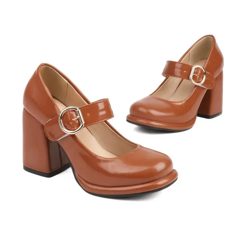 Funki Buys | Shoes | Women's Chunky High Heel Mary Janes