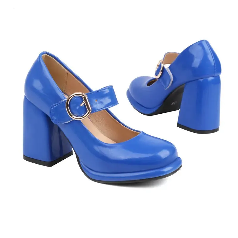 Funki Buys | Shoes | Women's Chunky High Heel Mary Janes