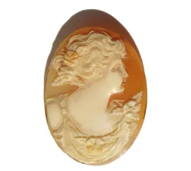 Vintage Shell Cameo Carved Shell Unmounted